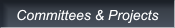 Committees & Projects Committees & Projects